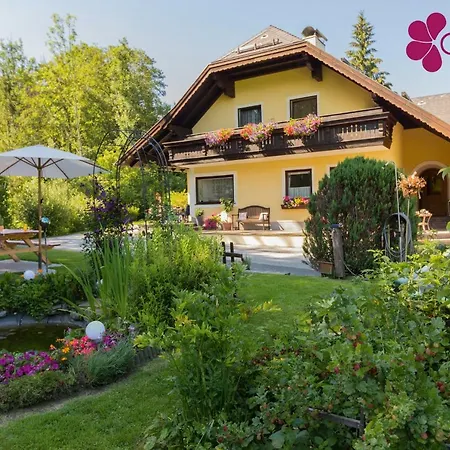 Claudia فيستينو