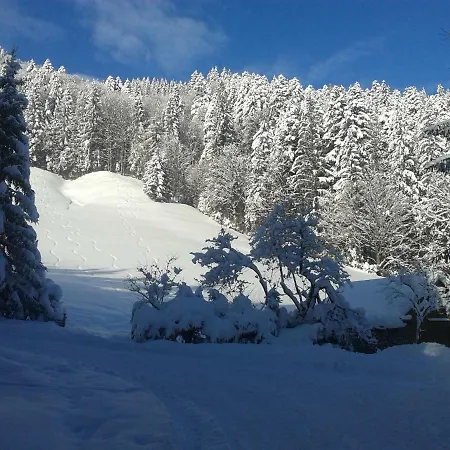 Apartament Claudia *