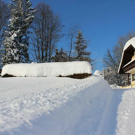 Claudia 芬斯特诺