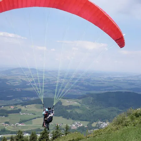 Claudia فيستينو