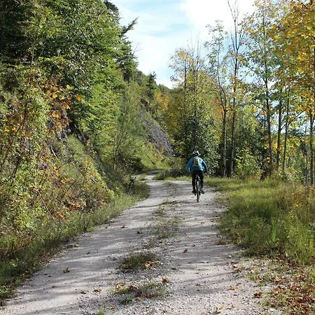 Claudia Apartament Faistenau