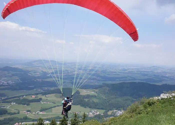 Claudia فيستينو