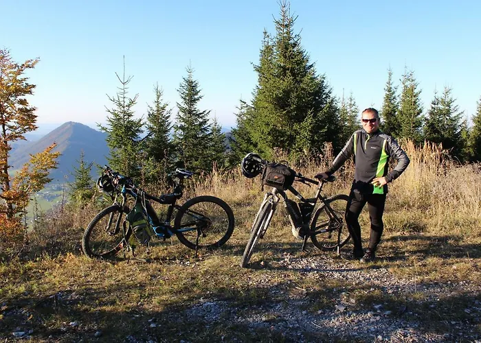 Claudia * فيستينو